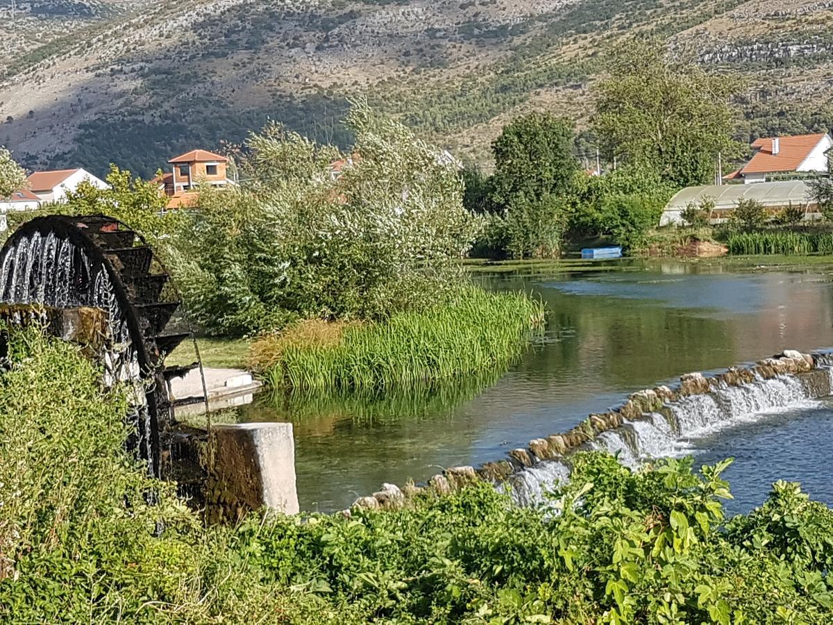 Apartman Srna Τρέμπινιε Εξωτερικό φωτογραφία