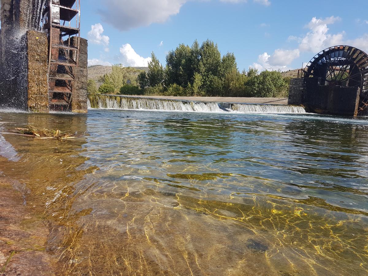Apartman Srna Τρέμπινιε Εξωτερικό φωτογραφία